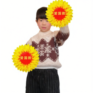 LIANFEIQING | Sunflower Performance Prop