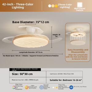 DGY | Retro Style Intelligent Quiet Eye-Protective Home Fan Chandelier
