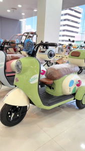 9Thunders_EV รถสามล้อไฟฟ้า มอเตอร์ 1000W แบต 48V20A รถสามล้อไฟฟ้าสามารถขับรถได้ไกลถึง 50 KM