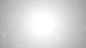 Aristo Cat Premium Plus Tuna Series & Chicken Series Canned Food /Makanan Kucing Basah 80g