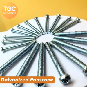 TGC 50/10PCS GI JP Bolt M6 ( 6mm ) x 8~225mm Roundhead JP Bolt | Stove Bolt | Galvanized Round Head GI 6