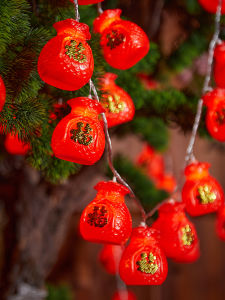 BEAUTY IN THE LIGHT | Festival LED Decorative Lights
