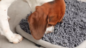 Lovinland Snuffle Mat for Dogs Interactive Feed Game for Boredom Encourages Natural Foraging Skills and Stress Relief Machine Washable Expending Energy Hiding Food Slow Feeder Intellectual Training