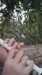 [Rẻ] Sáo Nhựa Recorder Sáo Thổi Nhựa Cao Cấp ABS Thiết Kế Đẹp Đồ Bền Cao Đồ Chơi Trẻ Em Âm Nhạc Âm Thanh Flute