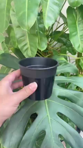 Combo 10 Chậu nhựa tròn 10x9 cm  nhựa cứng dùng ươm hạt giống trồng cây cảnh mini