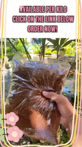 2KILO High Quality CocoPeat for Gardening / Proven good as Organic Fertilizer For Plants AND GARDENING