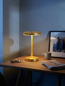 ZHENMEIJU | Modern Creative Luxe Decor Light