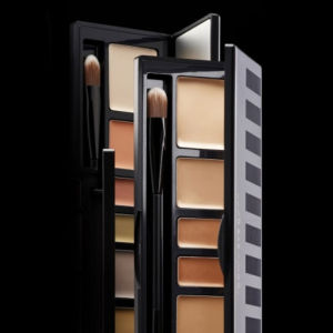 [100% Original] JUNG SAEM MOOL Artist Concealer Palette 6.6g #2Types JUNGSAEMMOOL