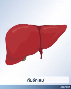 Hepheka เฮฟฟีก้า จัดส่งฟรี ผลิตภัณฑ์อาหารเสริมสำหรับตับ โปรโมชั่น 1 2 3 4 6 10 กล่อง (1 กล่อง บรรจุ 30 เม็ด)