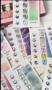 VENDEENI- NEW LAUNCH 6 Colors Winter Cats Eye Series Nail Polish Porcelain Satin Finish and Glass Bead Effect 15ml
