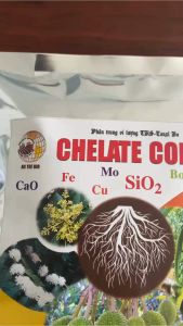 Bộ đôi khắc chế tuyến trùng và tái tạo rễ mới NEMA END 1kg + Phân CHELATE COMBI 1kg