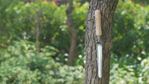 Berry & Bird Stainless Steel Long Hand Widger - Precision Gardening Tool for Seedling Transplanting Weeding and Soil Aeration