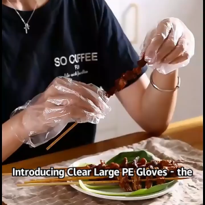 100PCS Disposable Plastic Glove Hygiene Restaurant Catering Home Glove