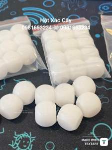 Bộ hột xác cây 13Ly VIP chưa Sơn