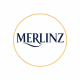 MERLINZ.STORE