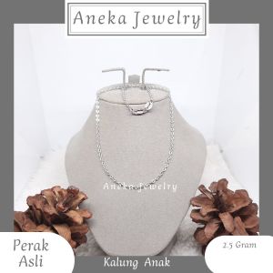 Kalung Anak Holo Perak Asli 925