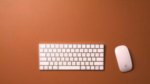 Align Daily Probiotic Supplement 84 Capsules(Exp: 01/2028)