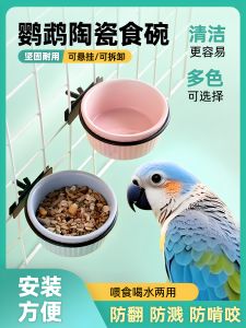 VOA | Anti-Splash Hanging Bird Feeder & Waterer