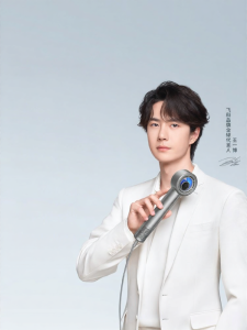 Flyco | Intelligent Speed Temperature Control Hair Dryer