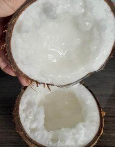 Dừa Sáp Loại 1 Đặc Ruột