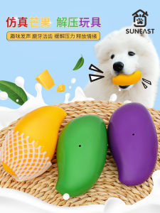 Durable Rubber Dog Toy for Teeth Grinding Sound Making Boredom Buster Chew Proof Pet Supplies Suitable for Border Collies And Corgis