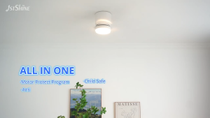 【Installation Included】48/52-Inch Ceiling Fan With Light 6 Speeds LED Source Suitable For Bedroom Living And Dining Room