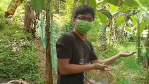 【Durable and sturdy】100M Chicken Net Range Net for Chicken Fence Green Net Free Range Chicken Net 2M for Poultry Outdoor Fishing Net or Lambat Poultry Net Ranging Net All Purpose Net 12 Shares Anti-Bird Net Cockfighting Net Outdoor Fishing Net Breeding Ne