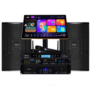 Multi-purpose KTV Audio Set
