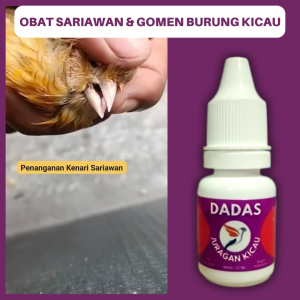 Obat Gomen Burung Kicau Sariawan Bintik Luka Di Mulut Dan Infeksi Pernafasan