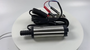 12V/24V Electric Submersible Pump For Diesel Fuel Transfer Miniature Refueling Pump Oil Pump