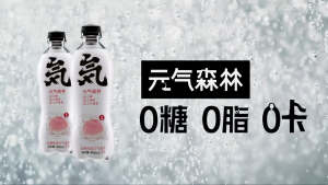 超值EXP:03-06/2026 元气森林 苏打气泡水480ML x 9瓶 苹果威士忌/夏黑葡萄味/白桃味/卡曼橘味/可乐味/荔枝味/石榴红树莓味/海盐菠萝味/海盐柚子味/海盐椰子味/流光草莓味/樱花白葡萄味