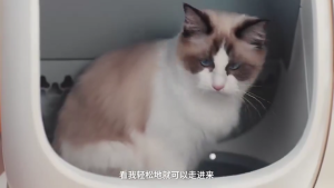 AiRROBO C20 Cat Littera Self-Cleaning Cat Litter Box with App ControlSmart Cat Litter Machine