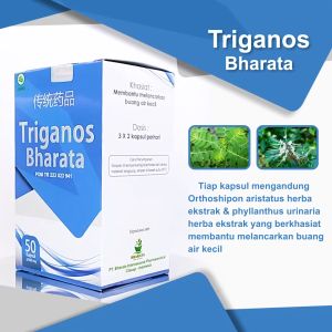 Triganos Bharata Original - Obat Sipilis dan Kencing Nanah Paling Ampuh - Garansi 100% Asli