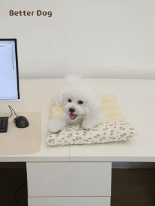 Foldable Pet Dog Bed Cat Carrier Sleeping Mat Cat Ownership Special Soft Car Mat Pet Dog Cotton Surface Four Seasons PP Cotton Filling