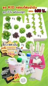 ชุด kid กล่องโฟมน้ำนิ่ง กล่องกุ้ง(สั่งได้เพียง 6 ใบ/ออเดอร์เท่านั้น)