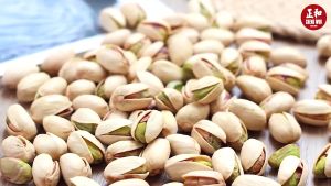 Mr.Squirrel Roasted Pistachio Nuts 1kg In Shell Salted Foods Snacks 100g / 200g / 400g Healthy Snacks