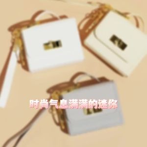 Mini Bag Keychain Coin Purse Accessory Pendant Bag Ornament Gift Versatile Bag Pendant Fashion Coin Purse Keyring