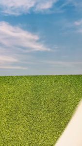 GRATIS BOX HS-0272 Sepatu Sports Wanita Sneakers Casual Fashion Shoes Premium