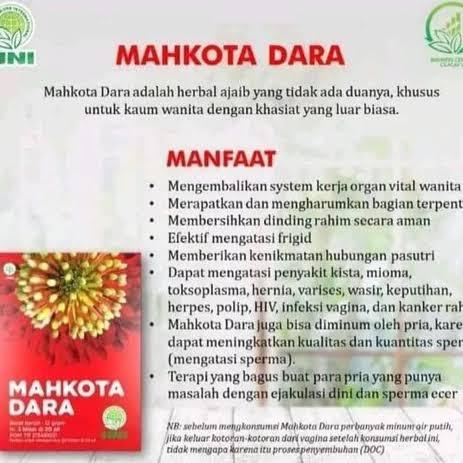 Mustika%20Dara%20/%20Mahkota%20Dara%20HNI%20Ori%20-%20Image%205