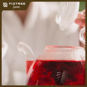 Hibiscus Teabags 100% Pure | Figtree Farms