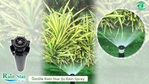 Rain Star ป๊อปอัพ เรนสตาร์ รู่น Rain Spray ความยาว 5-7-9.5 นิ้ว Spinkler Pop-up 5-7-9.5