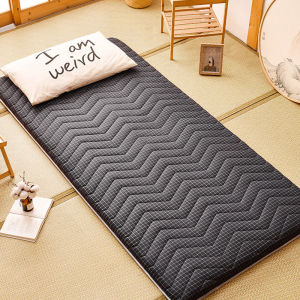 Thickened Foldable Simple Style Tatami Floor Mat Student Mattress under Bed Carpet Home Use Bedroom Rug Modern Minimalist Design