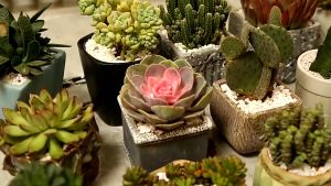 SUNNY BIERE Giá để hoa bằng tre Kệ hoa ban công giá để chậu cây tự nhiên và đẹp mắt