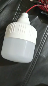 【Buy 1 Take 1】12V Low Voltage LED Bulb With Crocodile Clips 5W/10W/15W/20W/30W Hanging Emergency Light 6500K Cool White For Night Market Camping