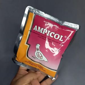 Ampicol 250 gram: Solusi Obat Ayam Collibaliosis