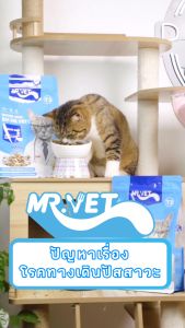 MR VET อาหารแมว T3 บรรจุ 2 กก. ขับ ลดนิ่ว เหมาะสำหรับแมวทุกวัย ราคาพิเศษ