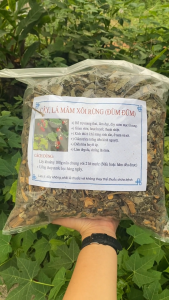 Cây Lá Mâm Xôi Rừng (Đùm Đũm) Thảo Dược Tây Bắc Hỗ Trợ Nội Tiết & Dày Niêm Mạc Tử Cung (Gói 1kg)