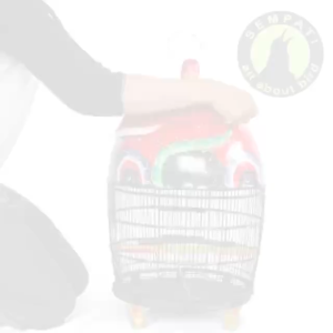 SEMPATI Krodong Perkutut Pe Kaos Kerodong Krodong Sangkar Perkutut Krodong Kandang Burung Perkutut Derkuku Puter Half Side PEPKT