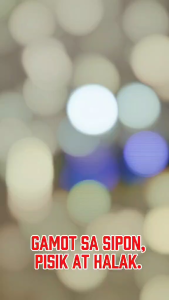 Heal Fast | brom tylo amox | for animal use only | chicken | pegions | cats | dog | gamefowl | drops