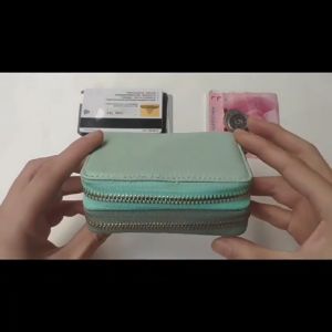 Double Zipper Mini Cute Wallet For Women Leather Card Holder Coin Purse Wallets For Ladies Pouches Walelt #H9112